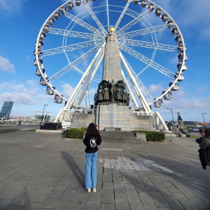 La Grande Roue, Bruxelles