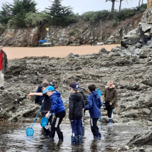 A la recherche des crabes, poissons et autre animal marin