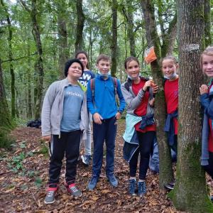 Perdus dans la forêt