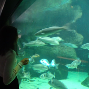 Au_Marinarium