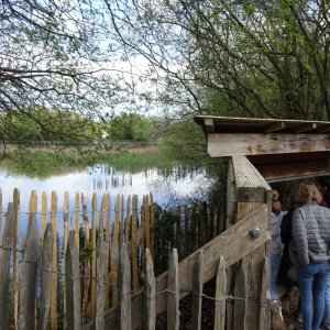 Observation_discrete