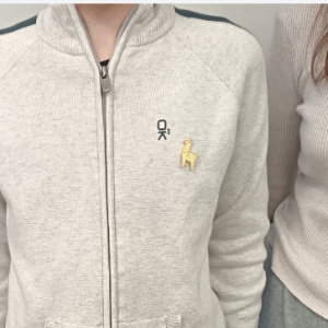 Screenshot_20250504_160144_com_hihonor_photos_SlotAlbumActivity