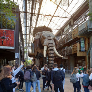 Rencontre_singuliere